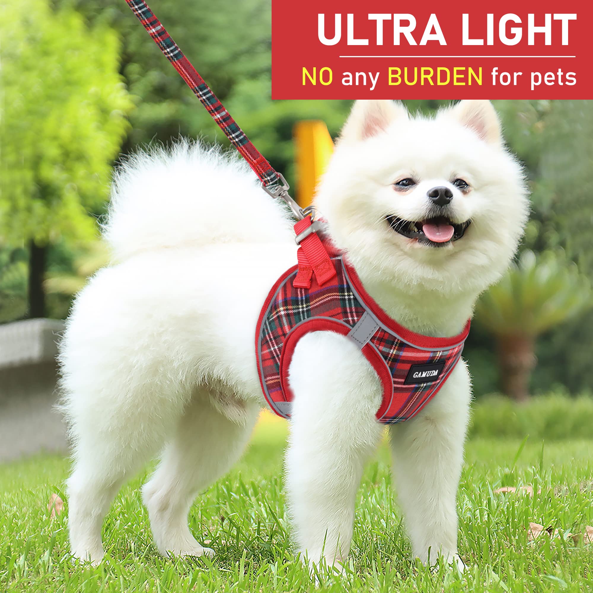 GAMUDA breathable mesh material keeps pets cool in all seasons.
