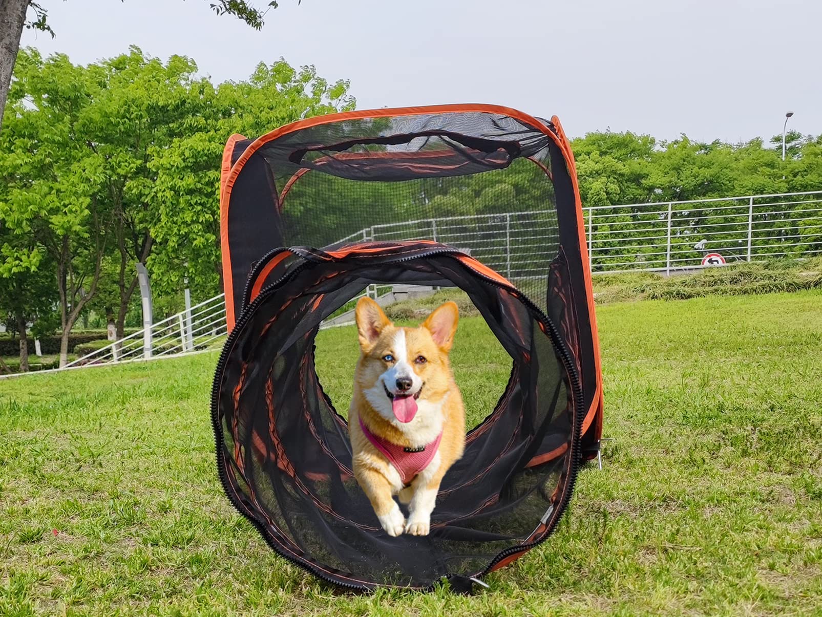 Gaorui 6in1 foldable pop-up design for quick space setup.