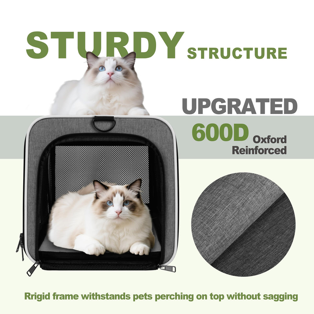 Gapzer 360-degree ventilation mesh ensures fresh air during transit.