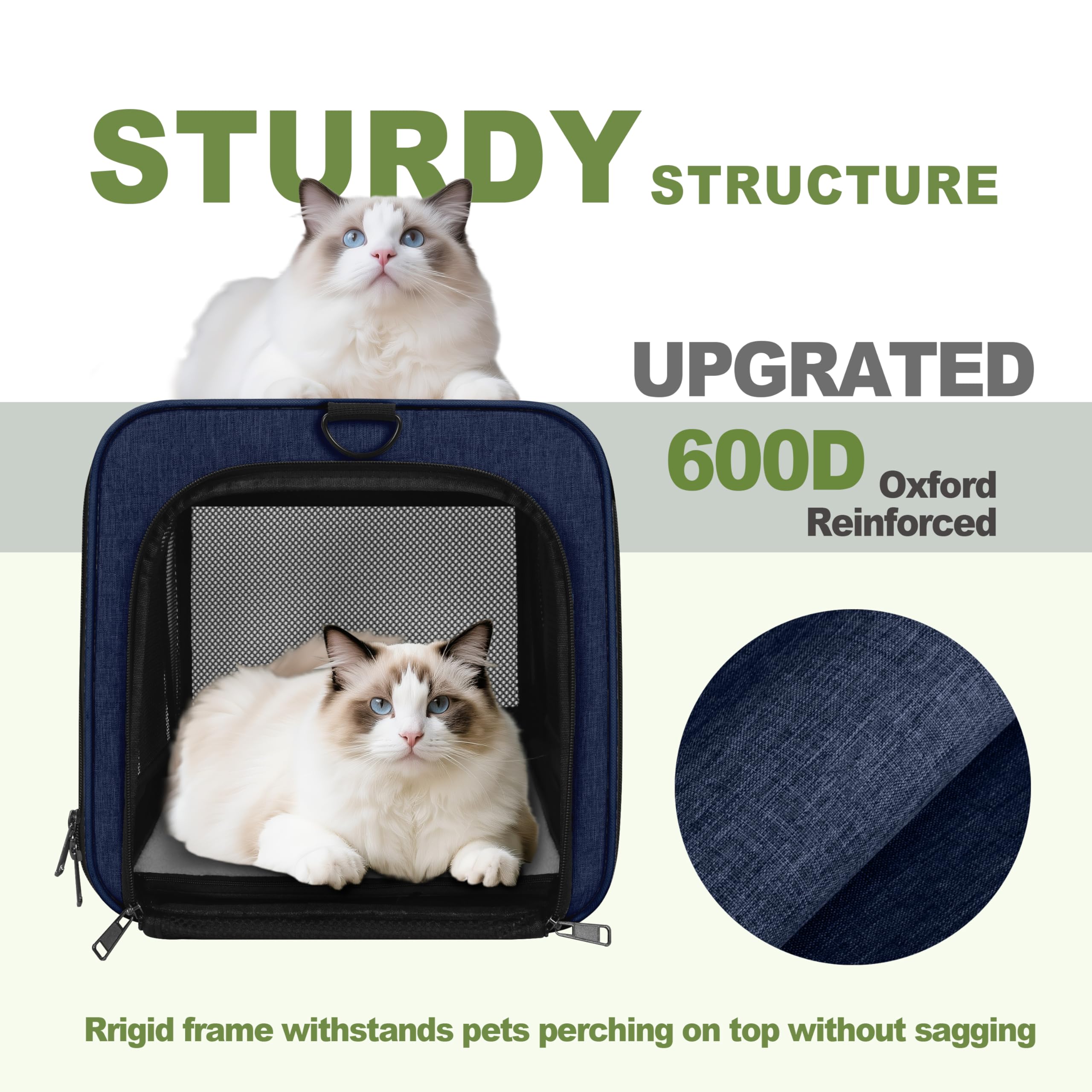 GAPZER 360-degree mesh ventilation promotes steady airflow.