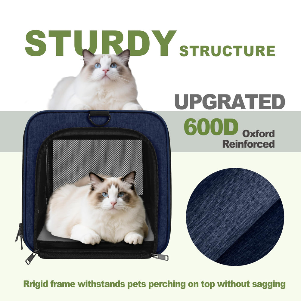 GAPZER 360-degree mesh ventilation promotes steady airflow.
