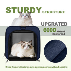 GAPZER 360-degree mesh ventilation promotes steady airflow.