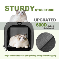 Gapzer 360-degree ventilation mesh ensures fresh air during transit.