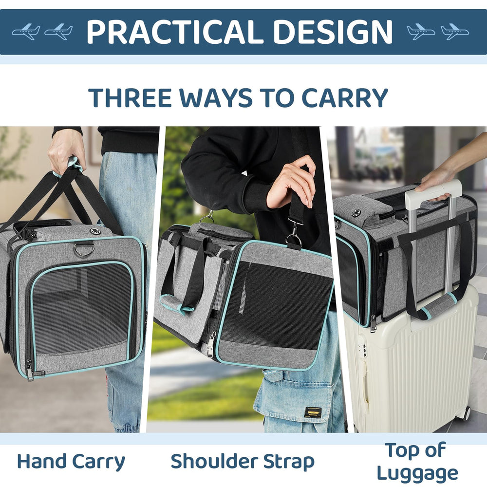 GAPZER underseat carrier interior view demonstrates breathable space for comfort
