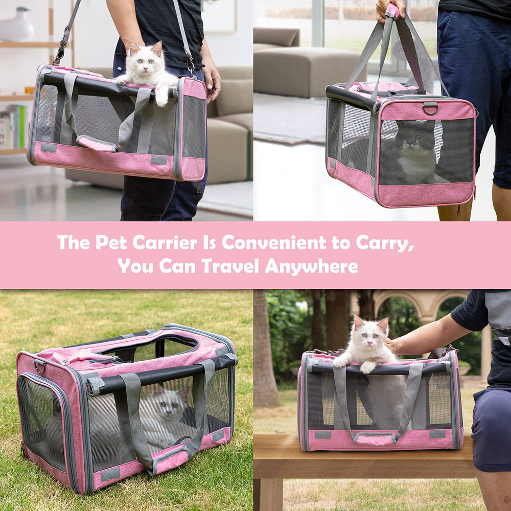 GAPZER cat-carrier-20-lb-max-load suits medium to large cats and small dogs.