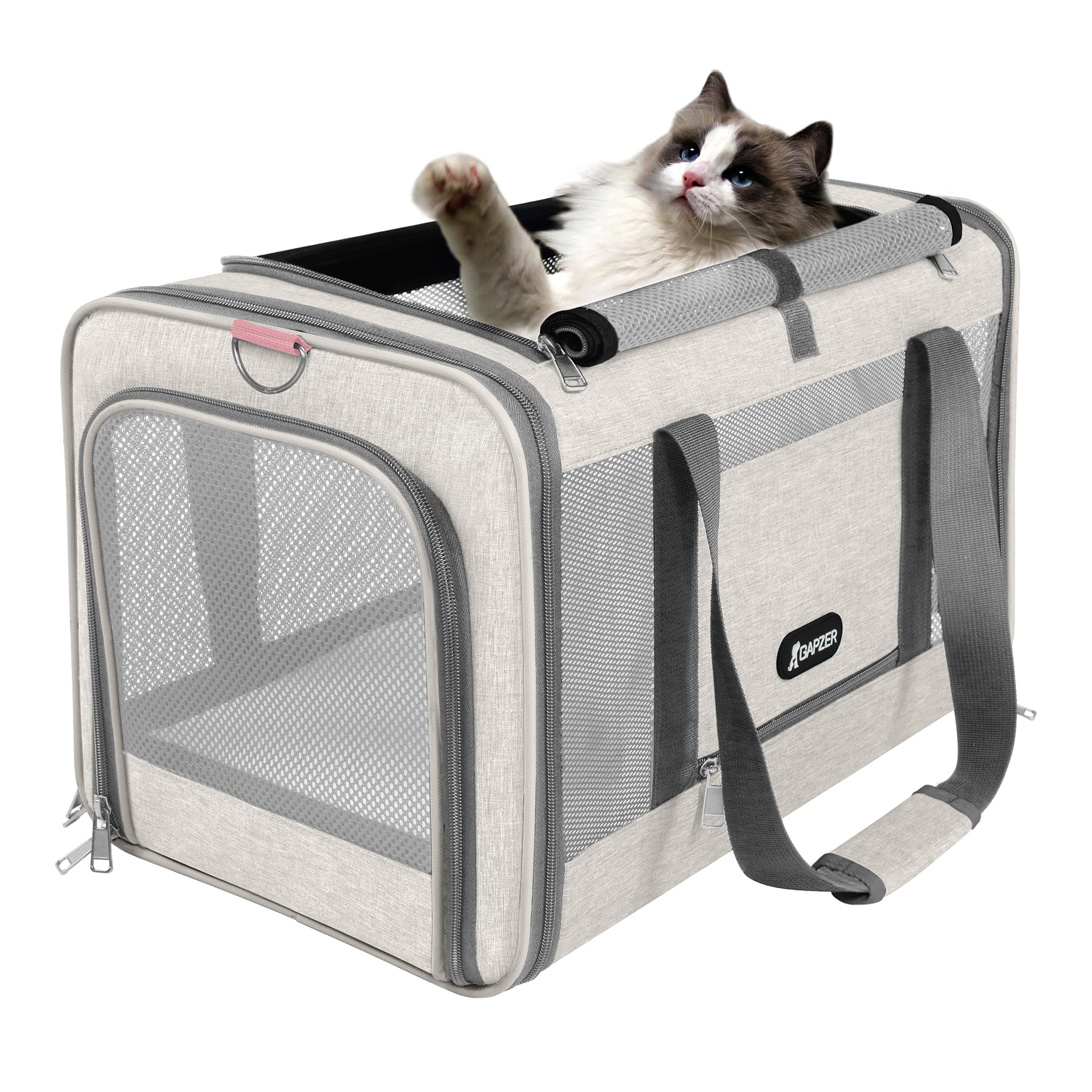 GAPZER cat carrier collapsible-storage-pocket design saves space at home.