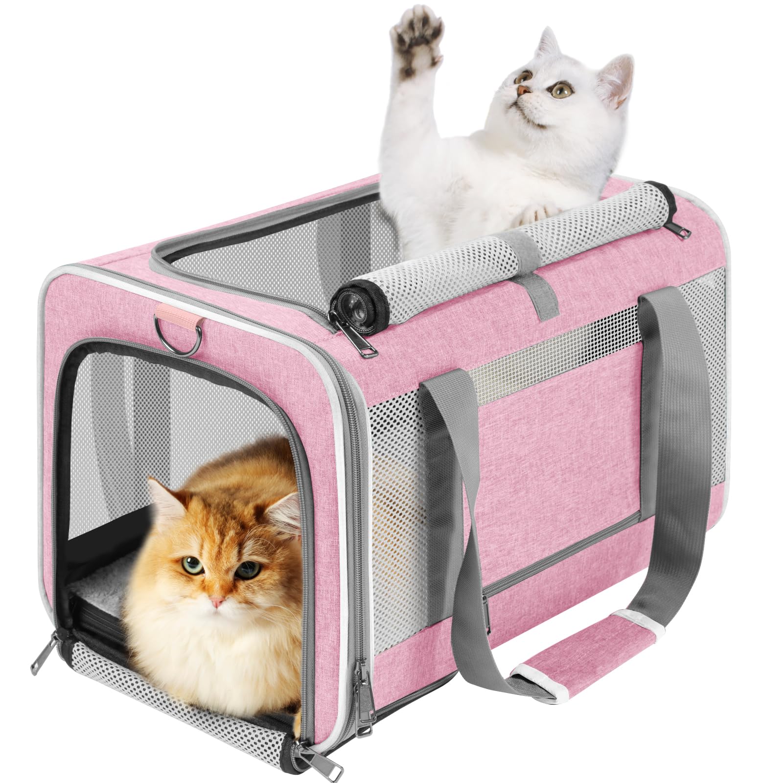 GAPZER cat carrier top-open design for easy pet access during travel.