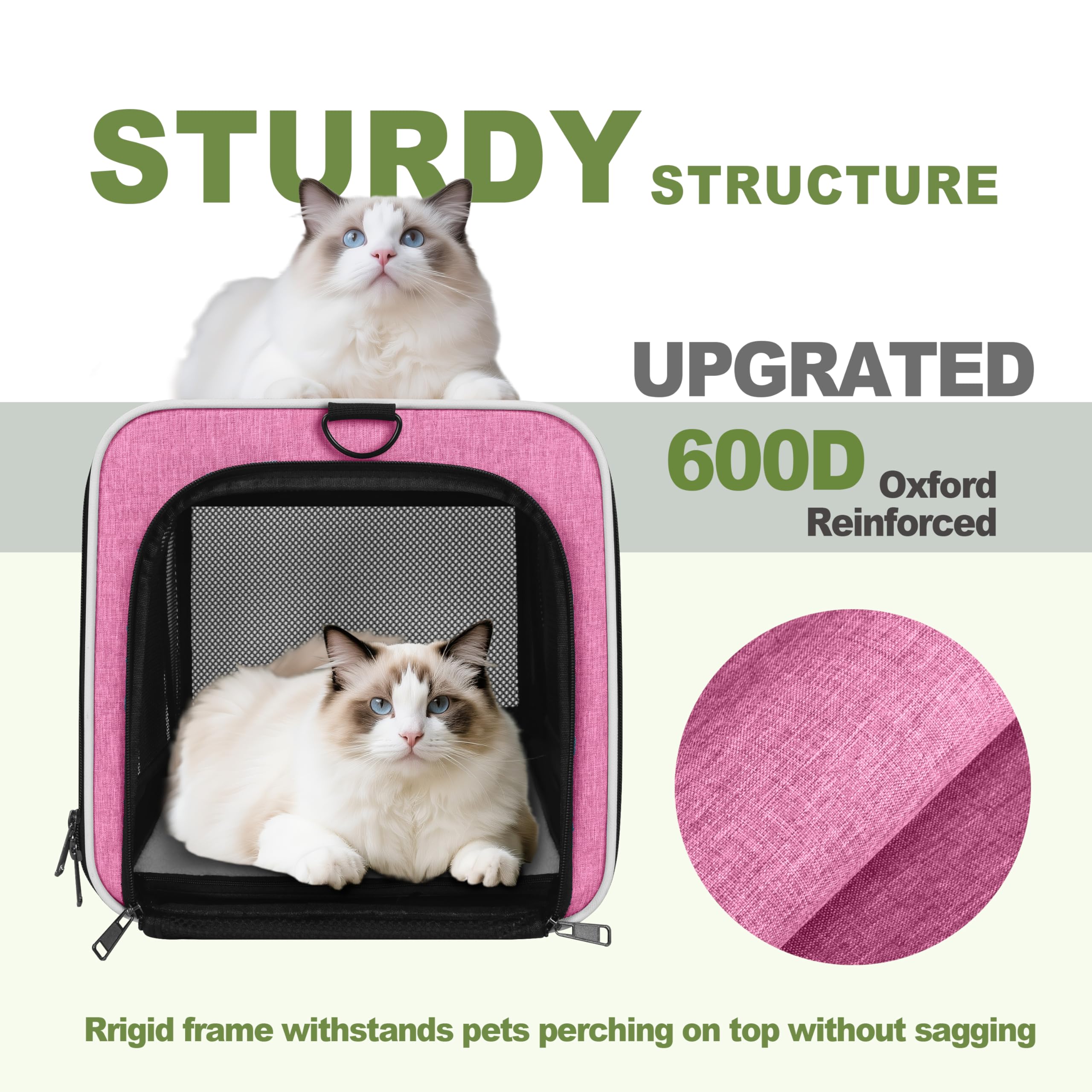 GAPZER cat carrier top opening enables stress-free loading and checks.