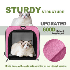 GAPZER cat carrier top opening enables stress-free loading and checks.