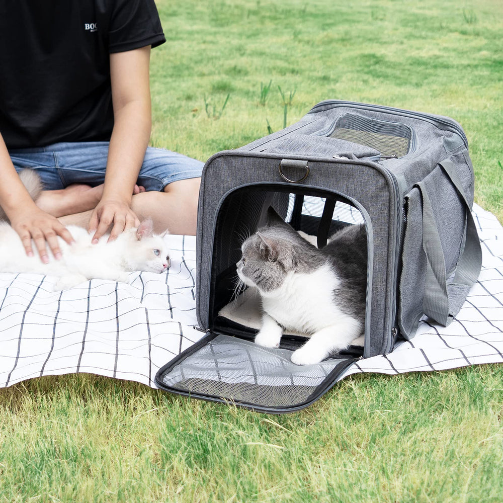 Gapzer carrier top and side entry for easy access.
