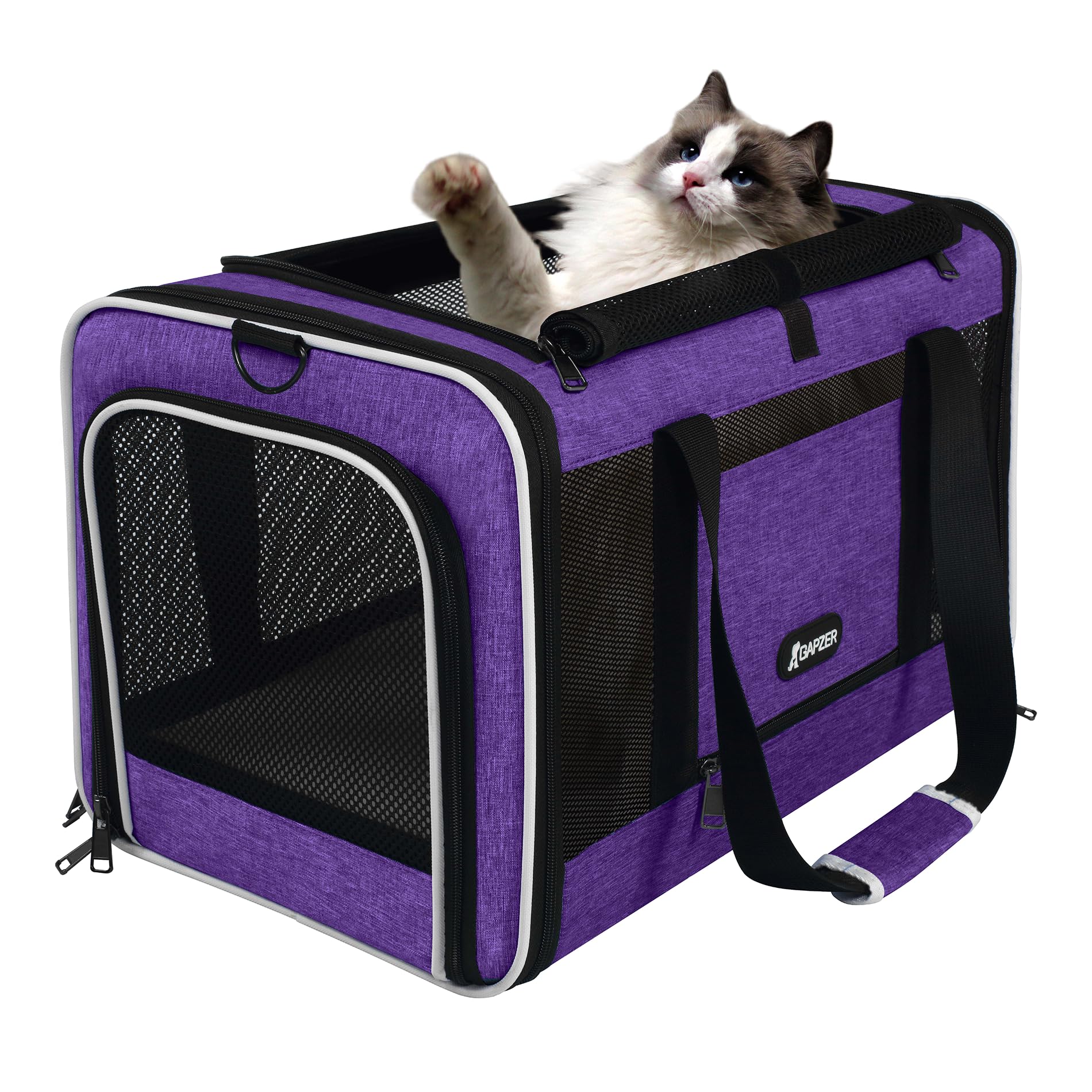 GAPZER Per Carrier purple color offers stylish, airline-friendly in-cabin option