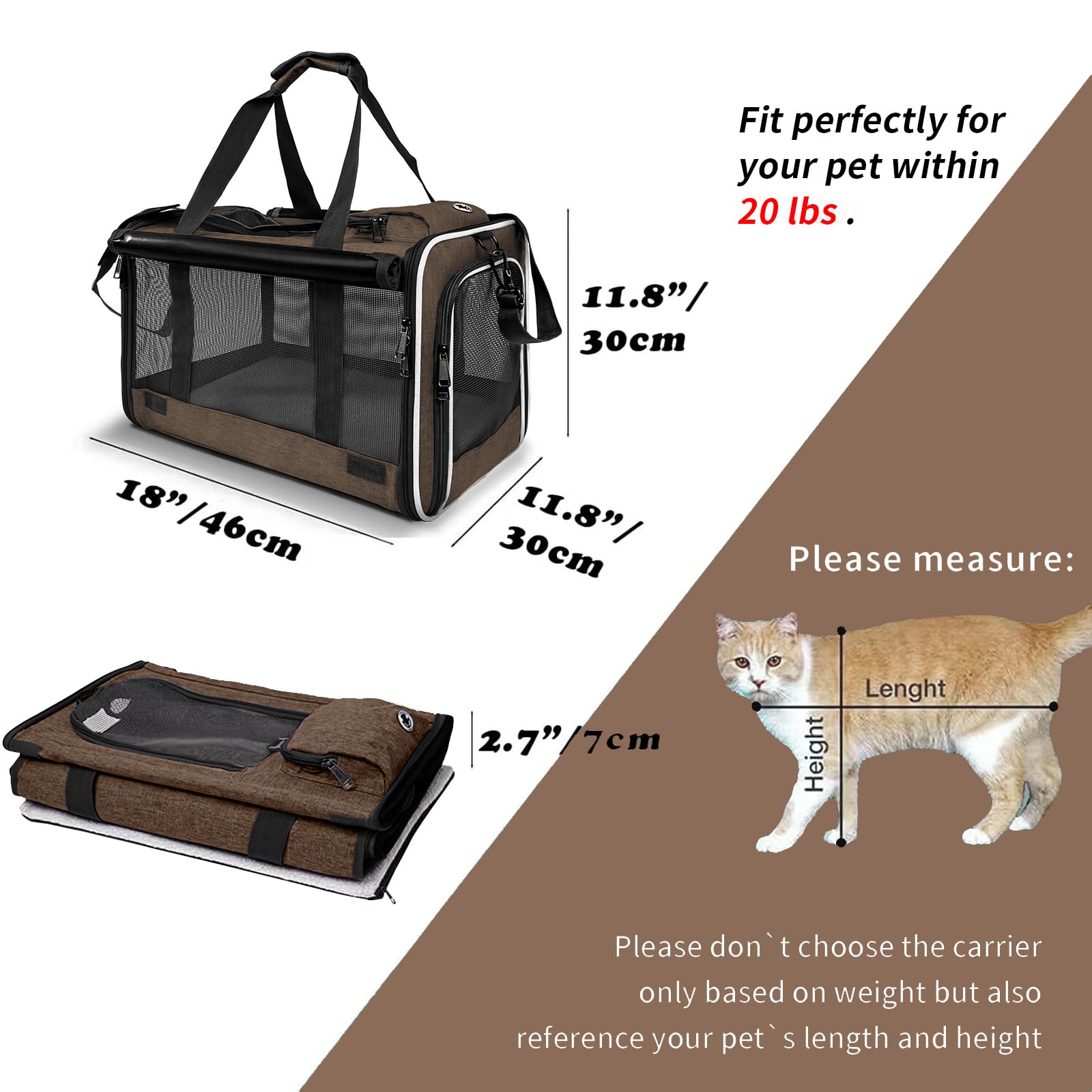 GAPZER dual-entry carrier offers flexible access from top or side.