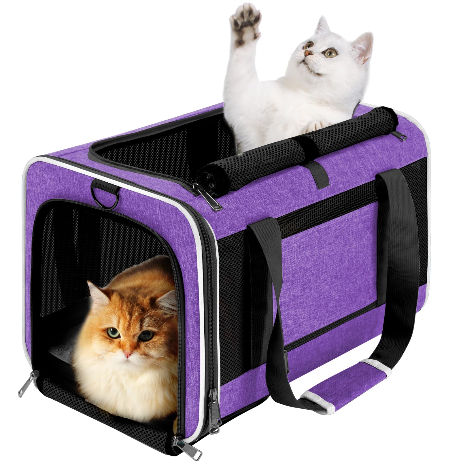 GAPZER pet carrier large-cat with 5-sided mesh for airflow during travel