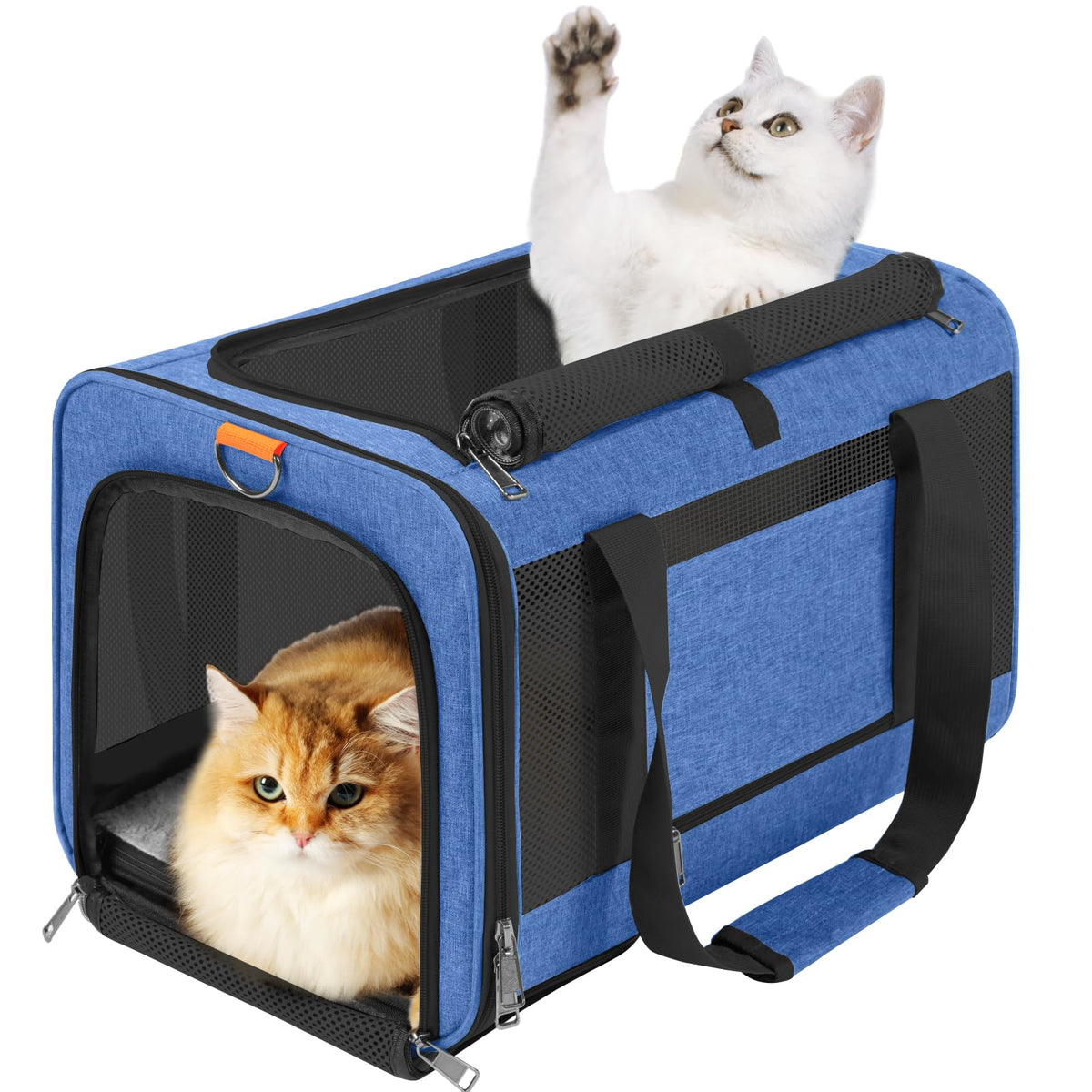 GAPZER Pet Carrier Large top view shows easy top-load access for quick loading