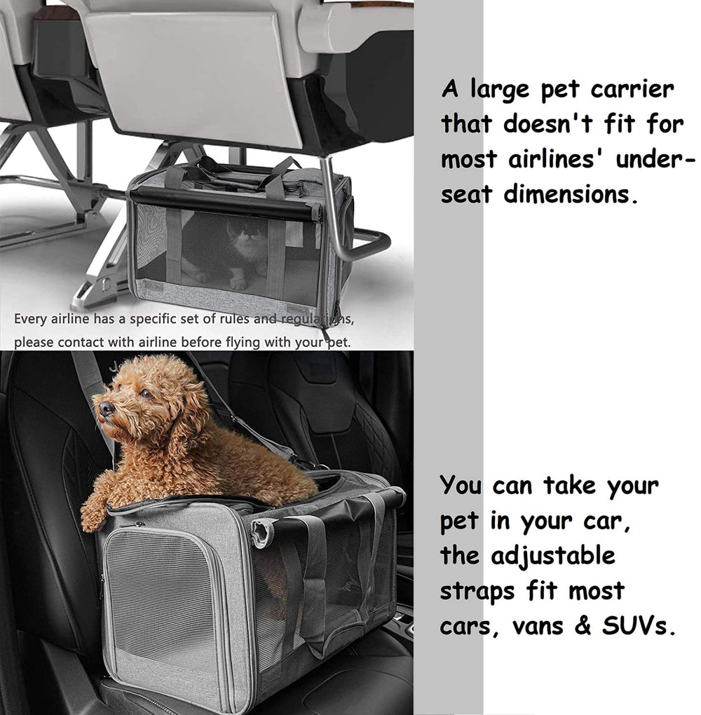 Gapzer privacy roller blinds provide optional visibility control during trips.