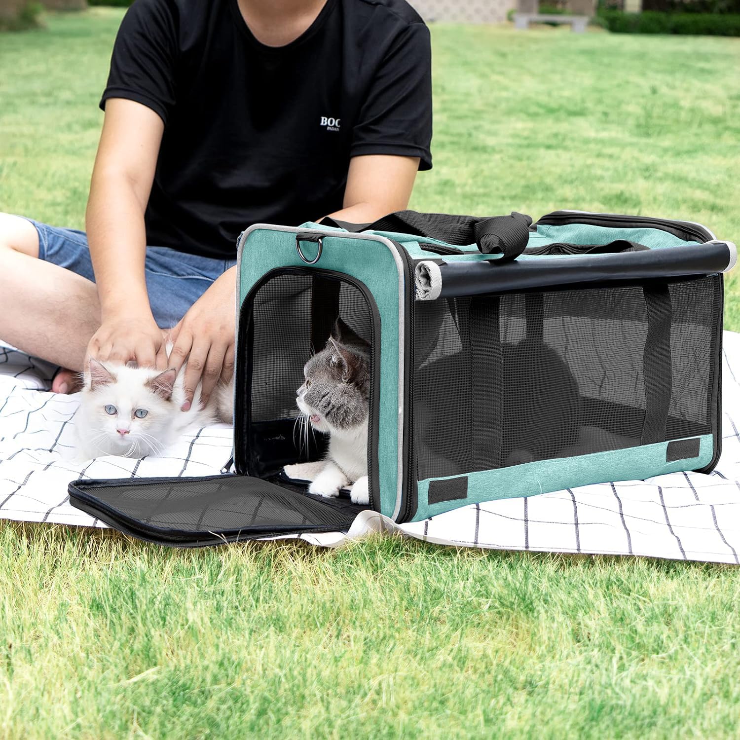 gapzer small dog carrier mesh-around ventilation keeps pet cooled