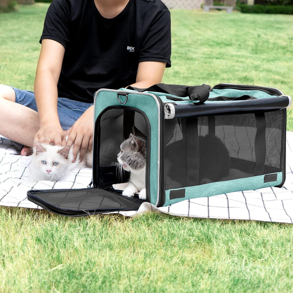 gapzer small dog carrier mesh-around ventilation keeps pet cooled