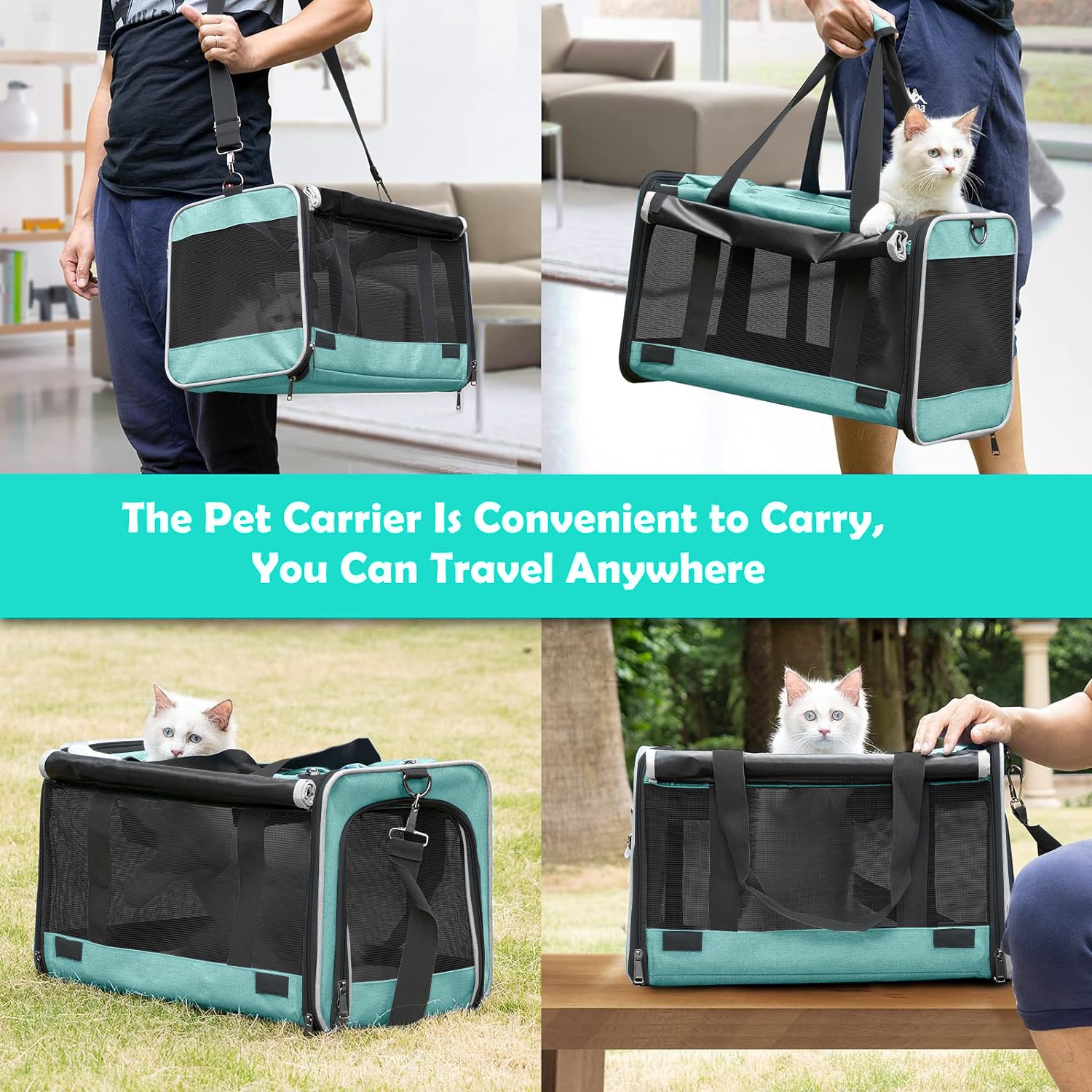 gapzer small dog carrier washable-liner makes cleanup simple