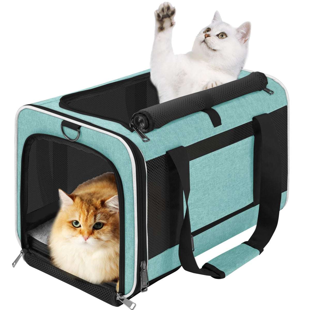 GAPZER Soft Cat Carrier Teal-Aqua front view for travel with pets up to 20 lbs.