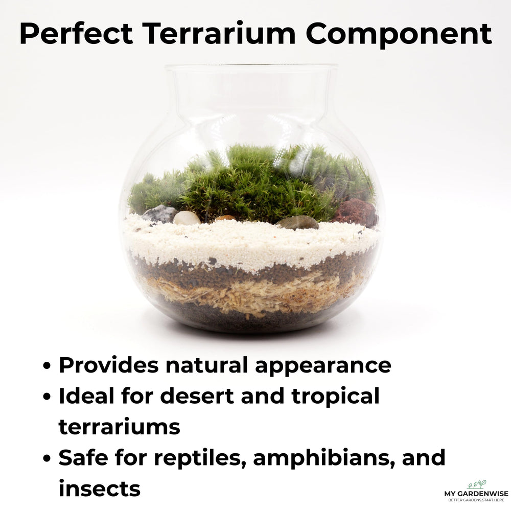 GARDENWISE decorative sand used as top-dressing brightens indoor plant displays.