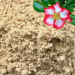 GARDENWISE fine sand in potting mix enhances drainage and aeration for indoor plants.