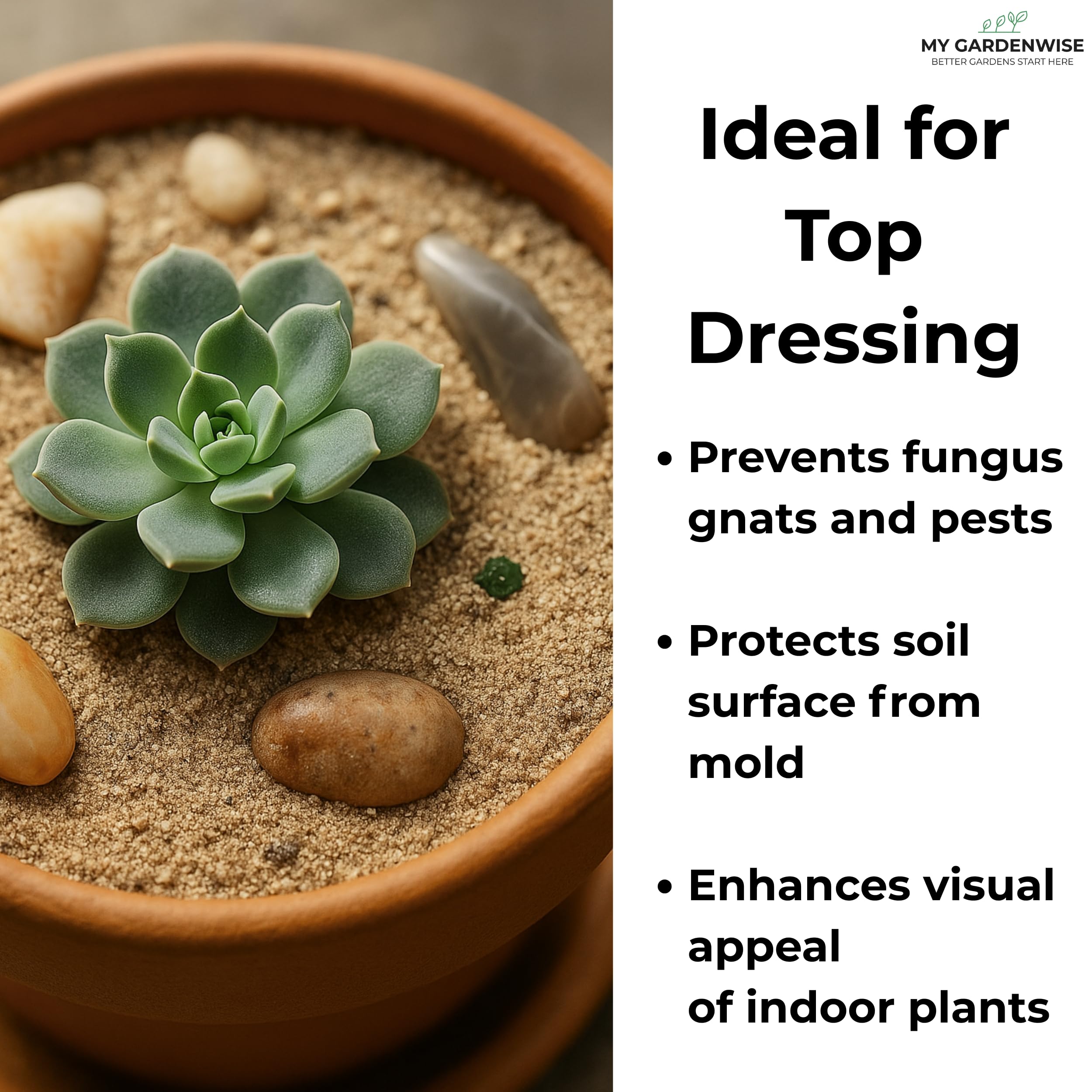 GARDENWISE fine sand terrarium top-dressing creates a clean, natural look.