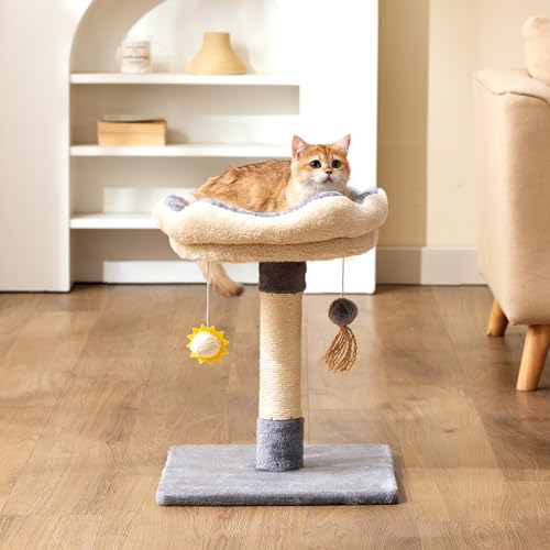 Gardner Pet 20-inch cat-tree base offers stable support for playful kittens.
