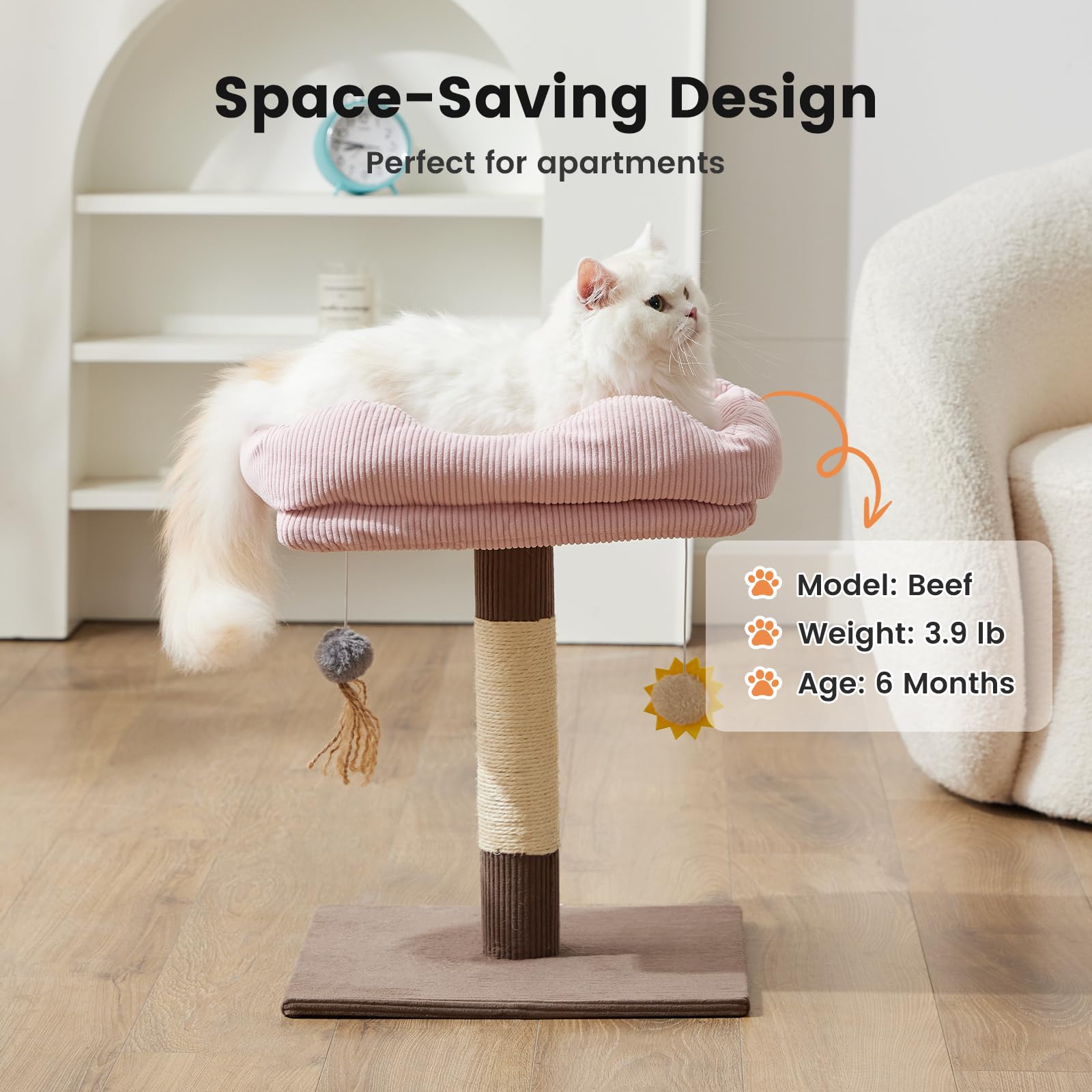 Gardner Pet hanging pom-pom provides interactive play to engage cats.