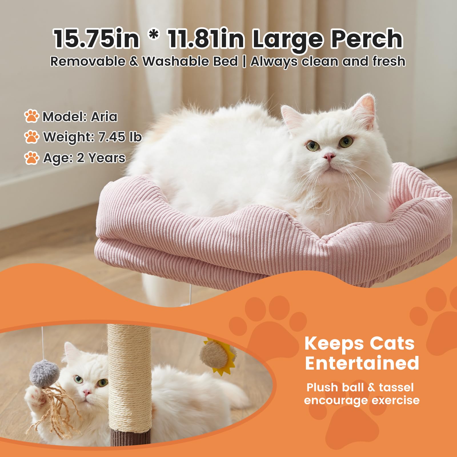 Gardner Pet sun plush toy offers motion-inspired entertainment during lounging.