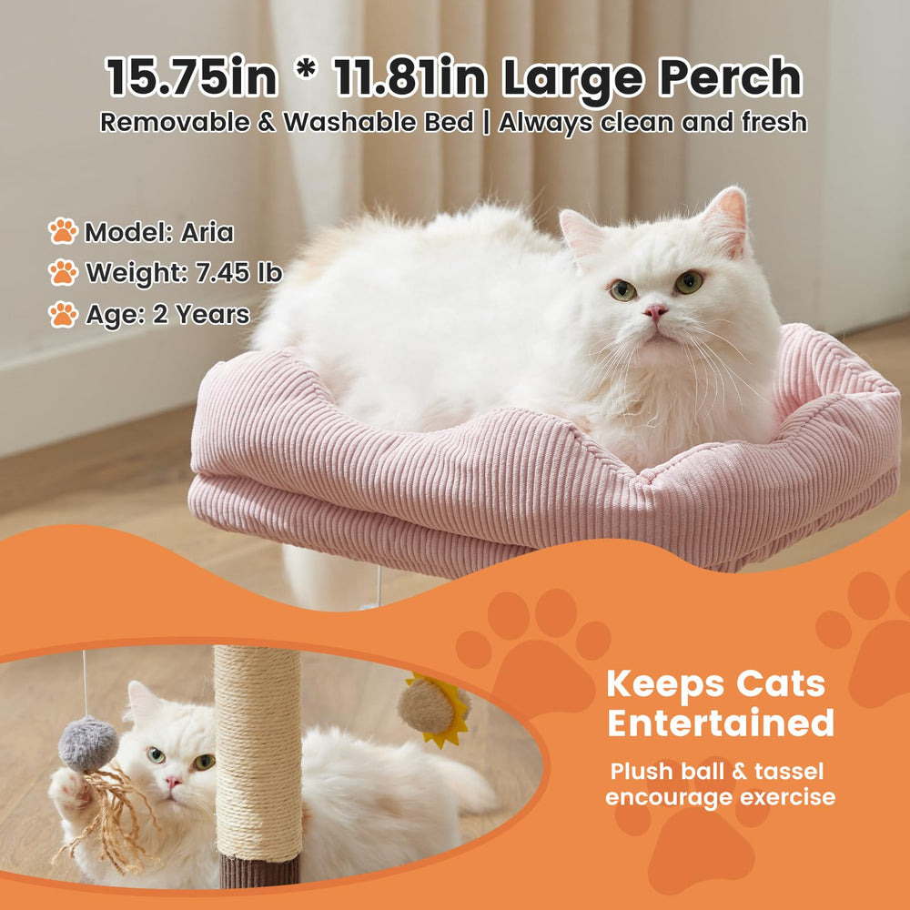 Gardner Pet sun plush toy offers motion-inspired entertainment during lounging.