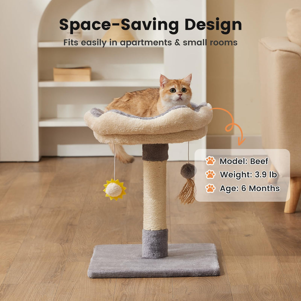 Gardner Pet sisal scratching post redirects claws and protects furniture.