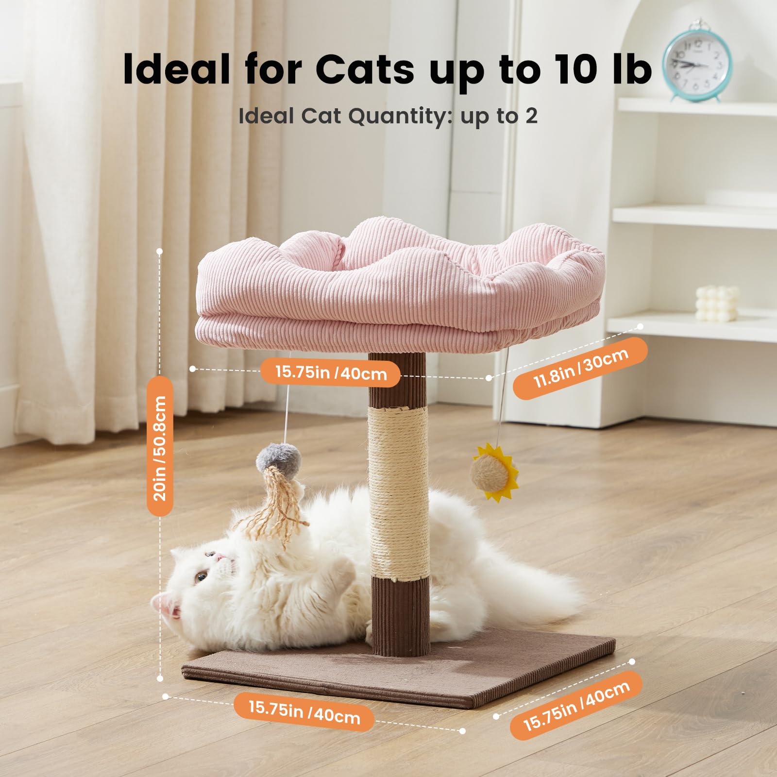Gardner Pet 20in cat tree top perch measures 15.7 by 11.8 inches for roomy lounging.