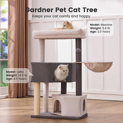 Gardner Pet 41-inch cat tree showcases washable top perches for easy cleaning