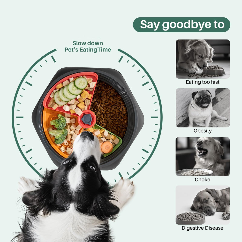 Gardner Pet anti-spill edge design reduces mess during busy meals