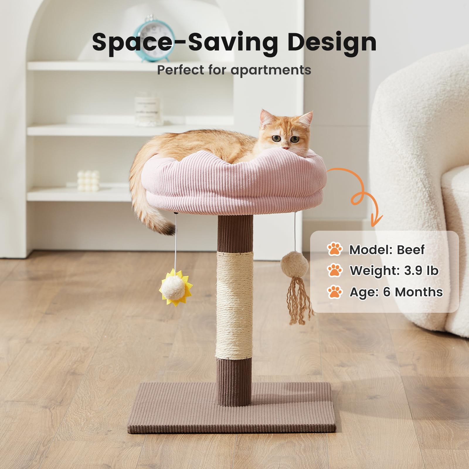 Gardner Pet circle-corduroy brown cat tree blends style with cozy indoor use