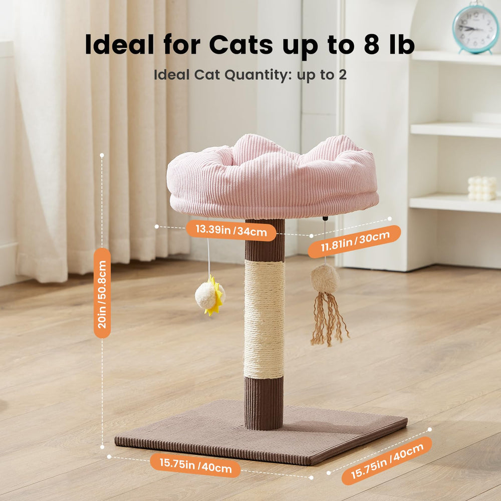 Gardner Pet hanging toys pom-pom and sun plush for interactive play