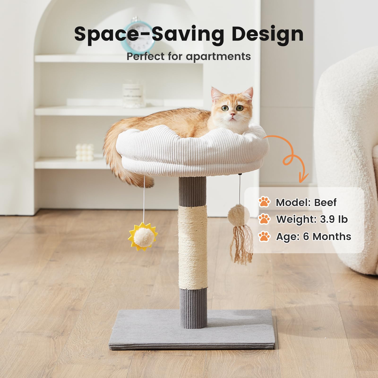 Gardner Pet hanging toys keep cats engaged and active.