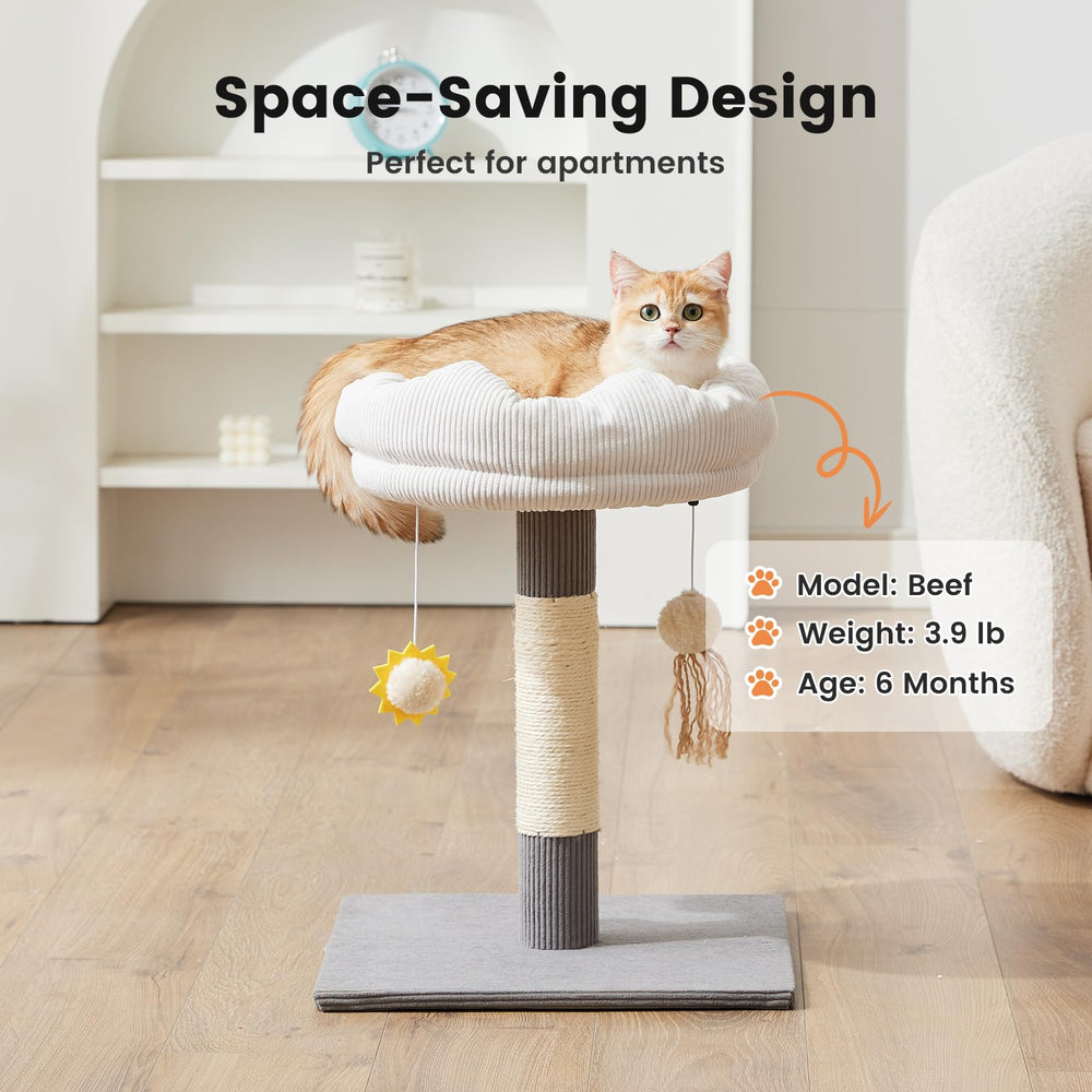 Gardner Pet hanging toys keep cats engaged and active.