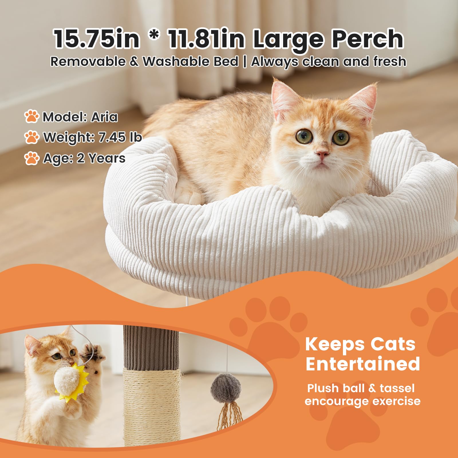 Gardner Pet 15.7x11.8 inch perch with foam padding for comfort.