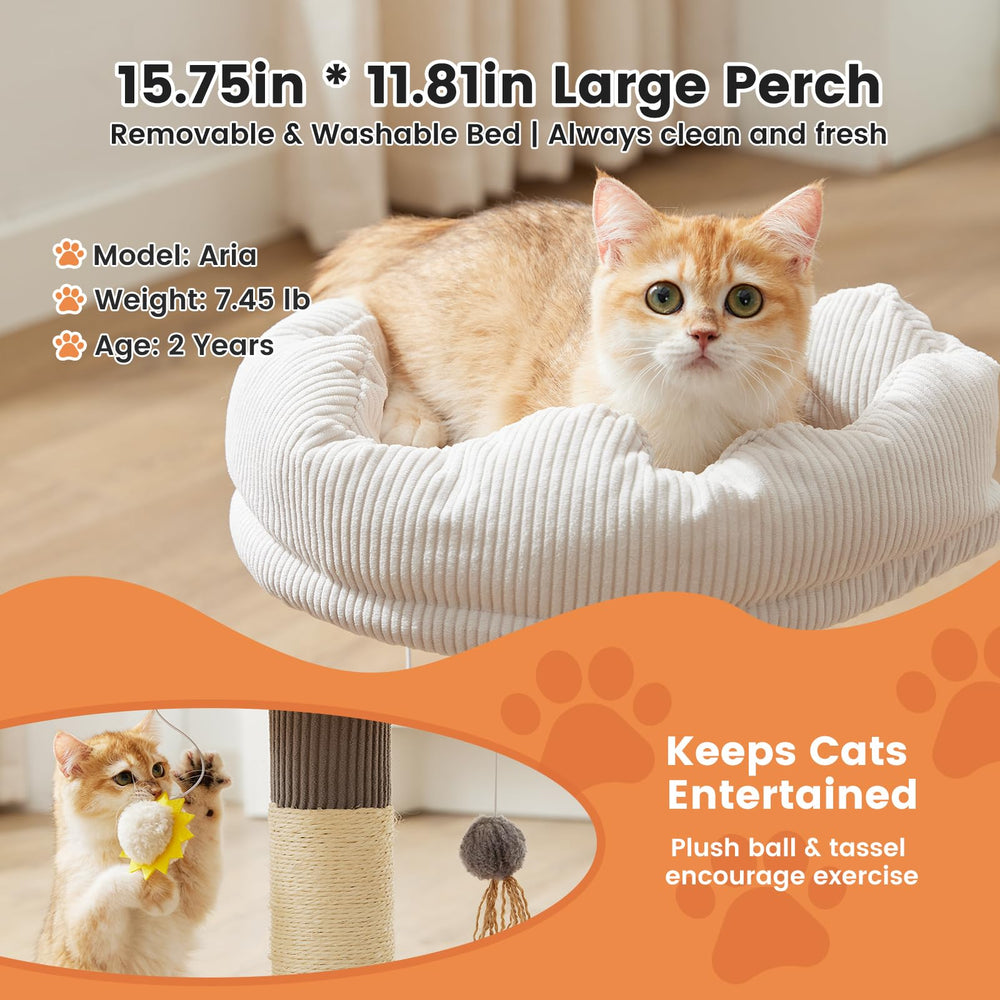 Gardner Pet 15.7x11.8 inch perch with foam padding for comfort.