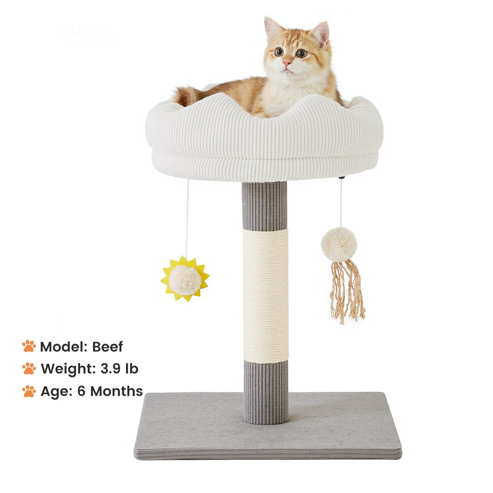 Gardner Pet removable bed and washable cover maintain freshness.