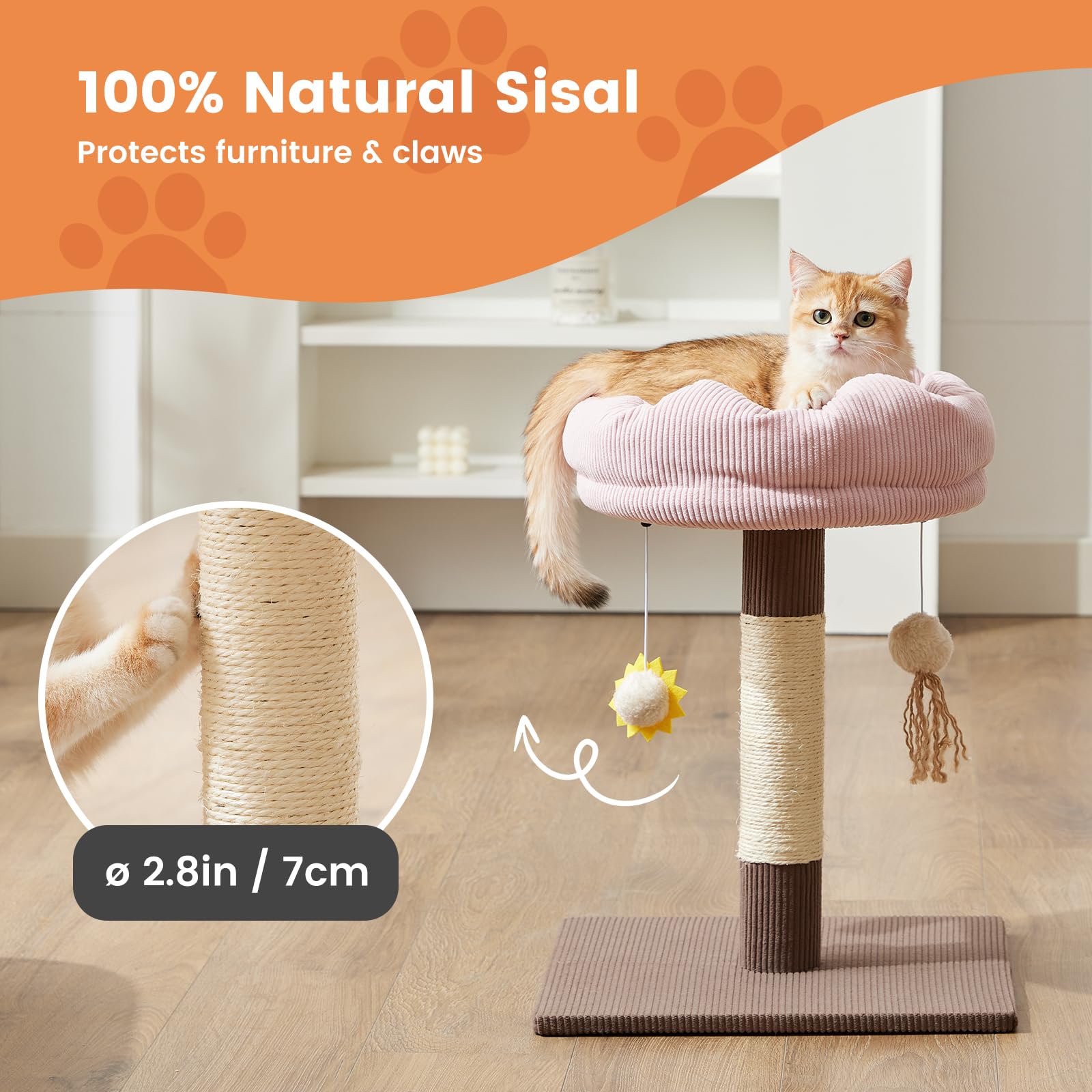 Gardner Pet removable bed demonstrates washable, easy-clean functionality
