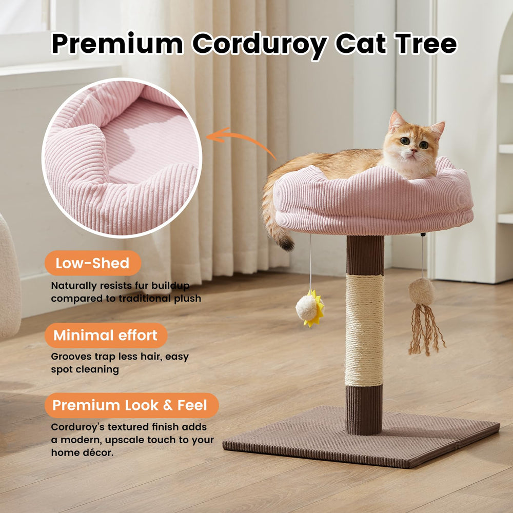 Gardner Pet solid wood base provides a stable platform during play and rest