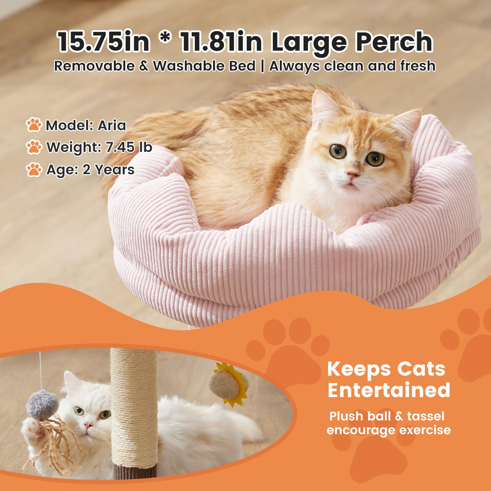 Gardner Pet top perch offers a spacious foam-padded lounging area