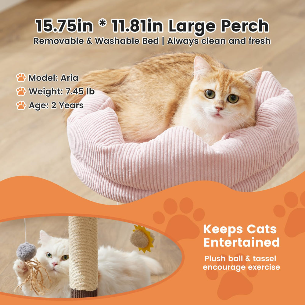 Gardner Pet top perch offers a spacious foam-padded lounging area