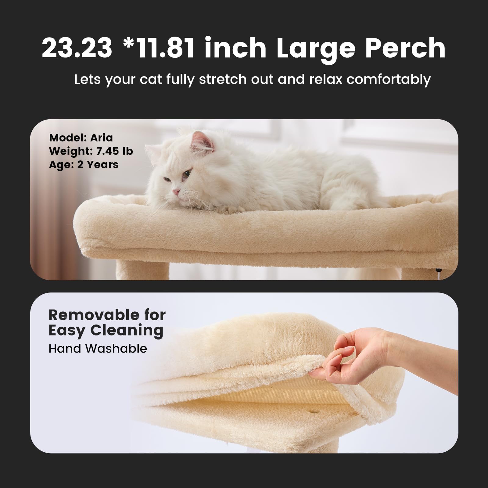 Gardner Pet condo platforms provide lookout spots and cozy nap areas