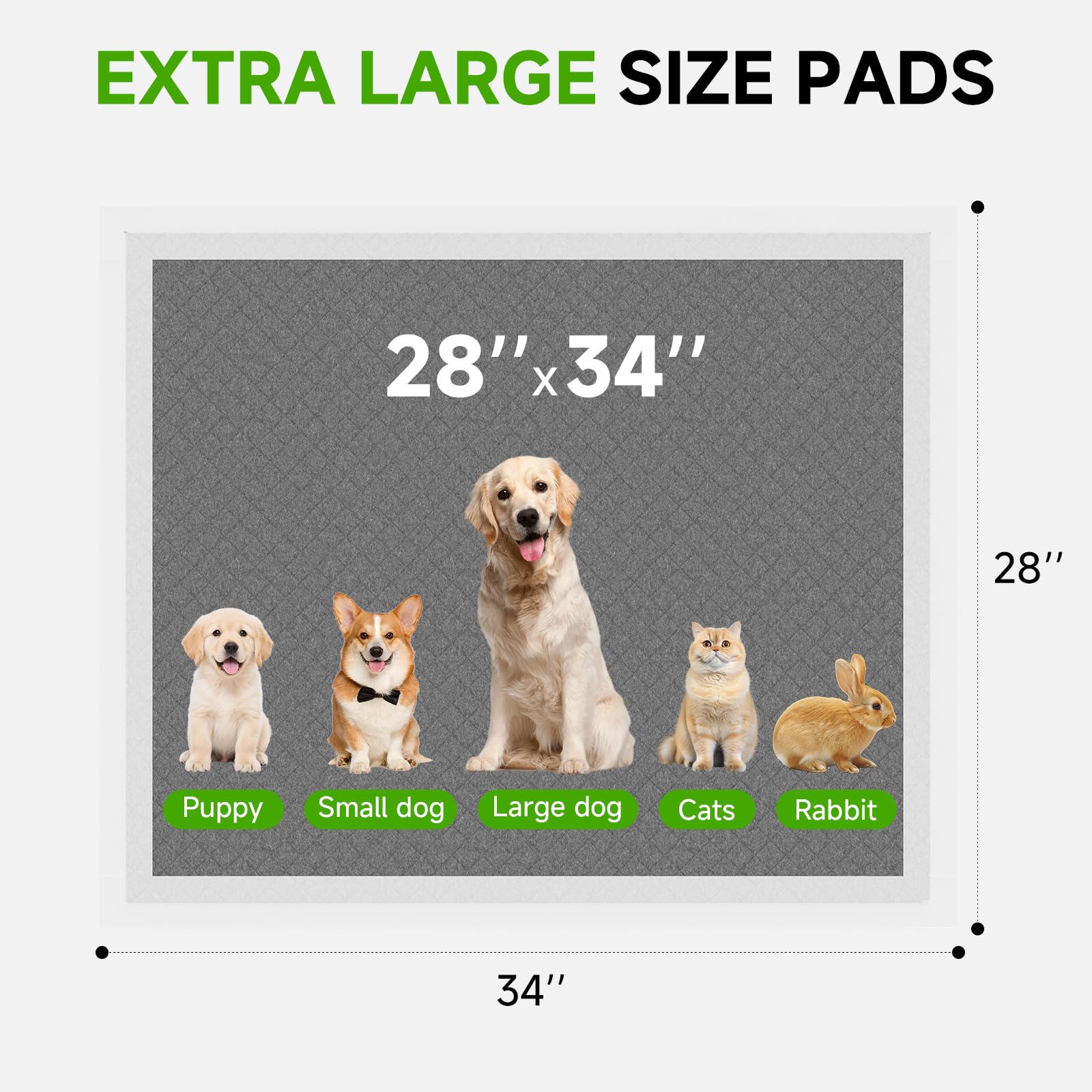 Gardner Pet Charcoal Puppy Pads demonstrate odor control technology for a fresher home