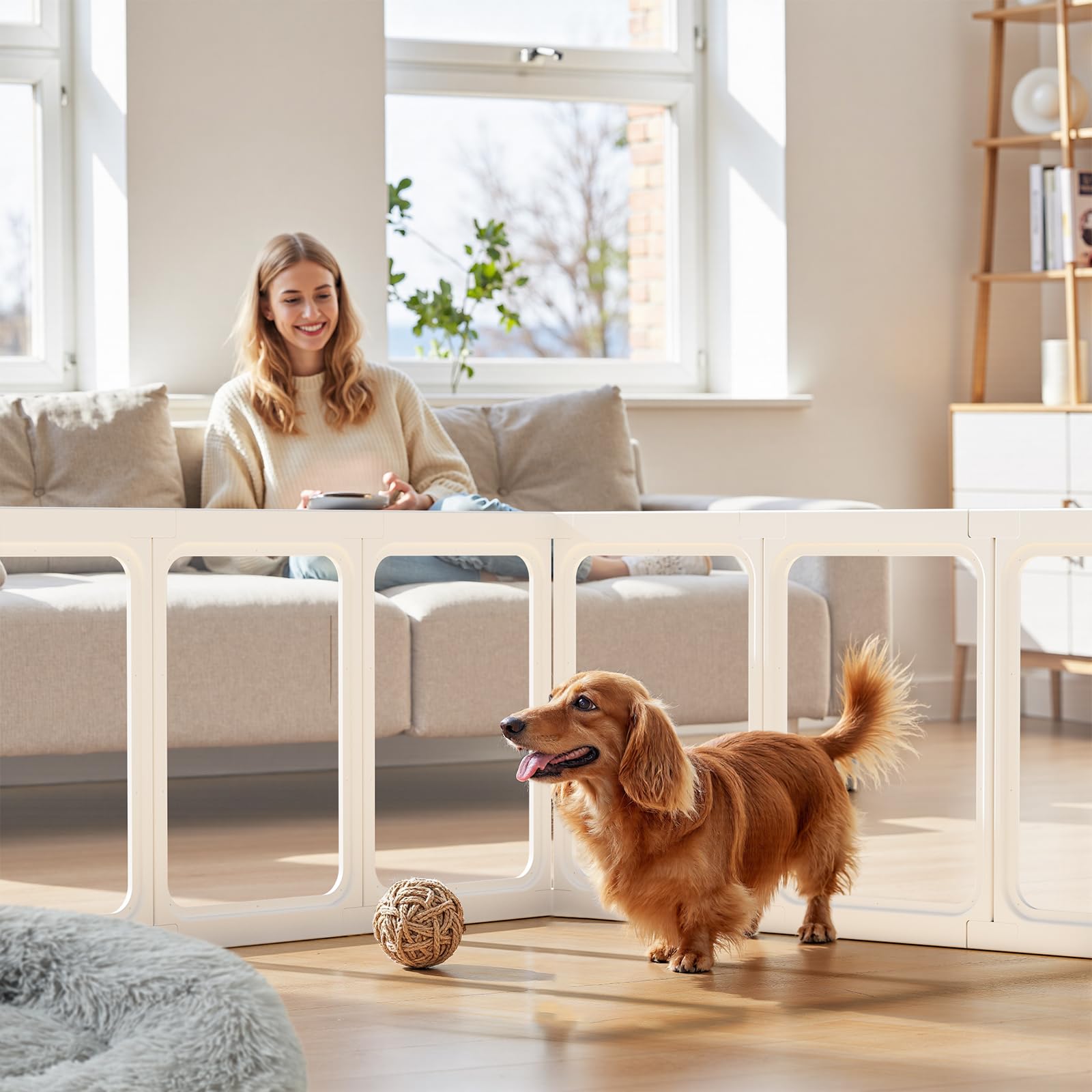 Gardner Pet Clear Acrylic Playpen whelping-box use shows containment for small litters