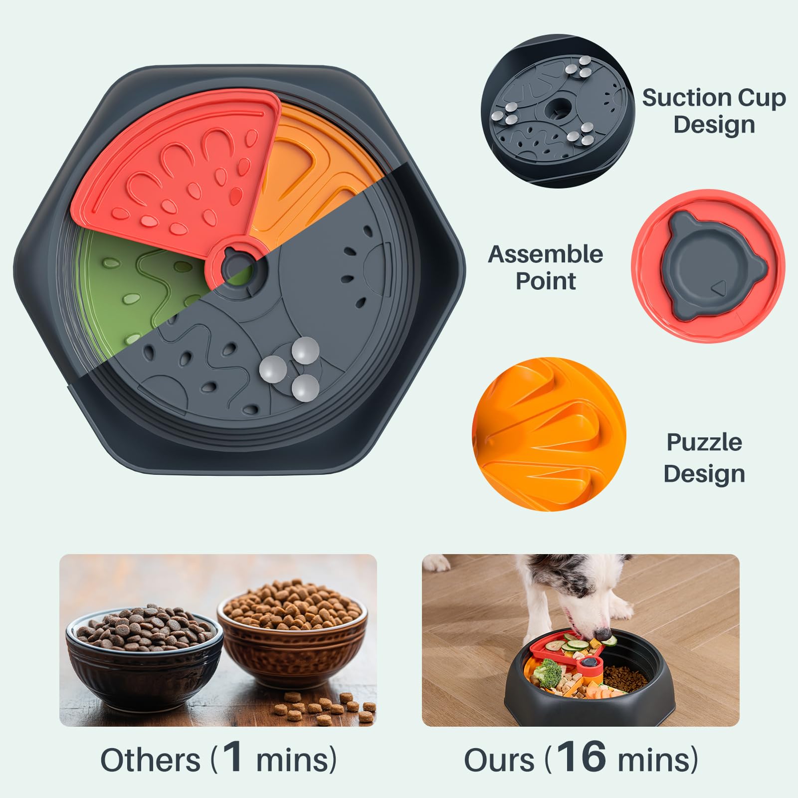 Gardner Pet detachable parts for easy cleaning after meals