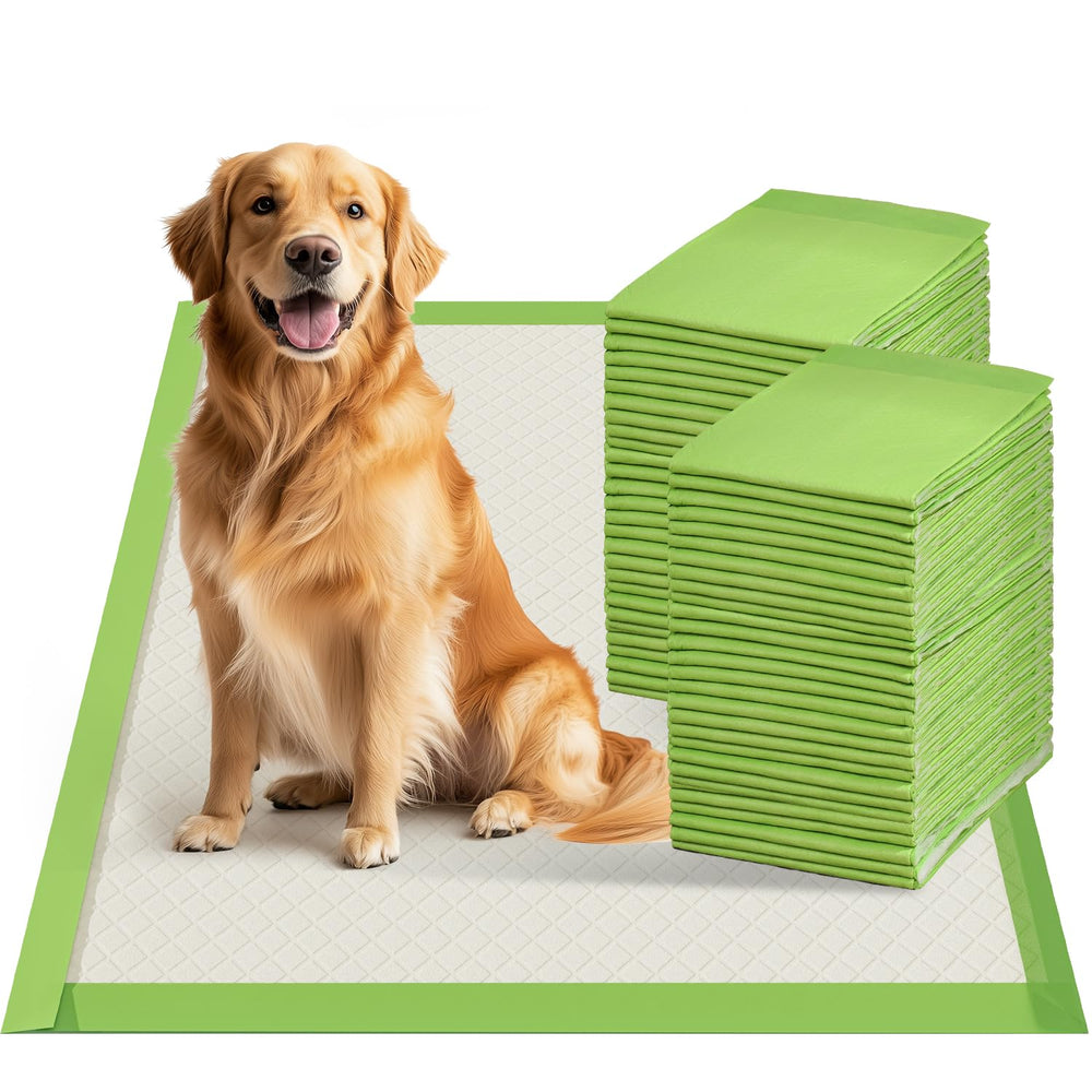Gardner Pet XL pee pad 28x34 front view with thick absorbent surface for training